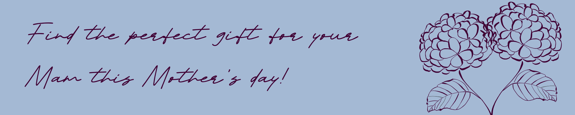 Text in dark magenta on a cornflower blue background saying Find the perfect gift for your Mam this Mother's Day! There is also a pair of hyrangeas in dark magenta, twisted together in a heart shape.